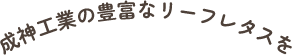 成神工業の豊富なリーフレタスを